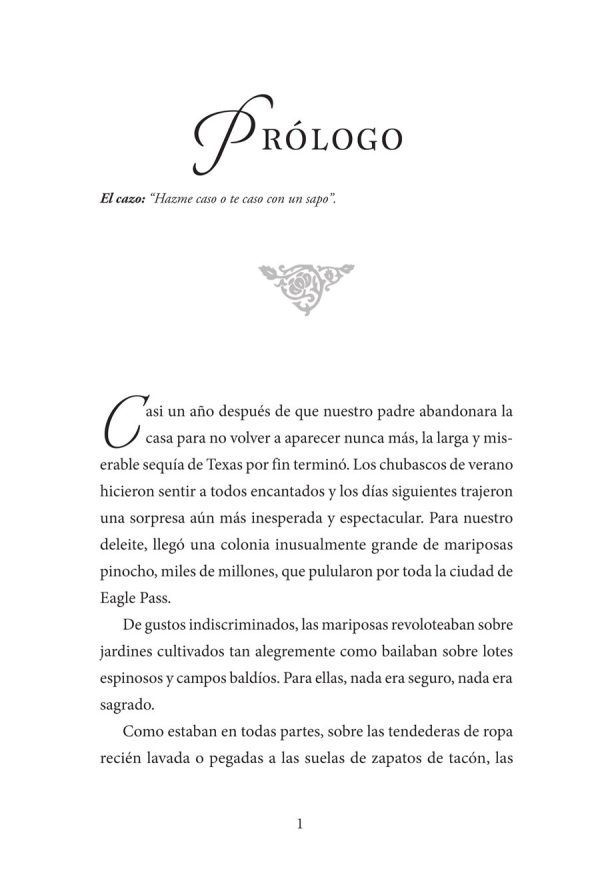 Interior spread #1 for El verano de las mariposas by Guadalupe García McCall; David Bowles