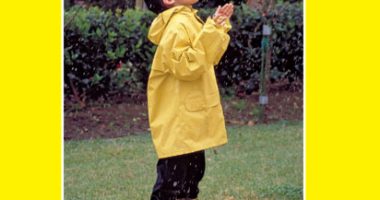 Front covernull for Rain Falls by Christine Taylor-Butler